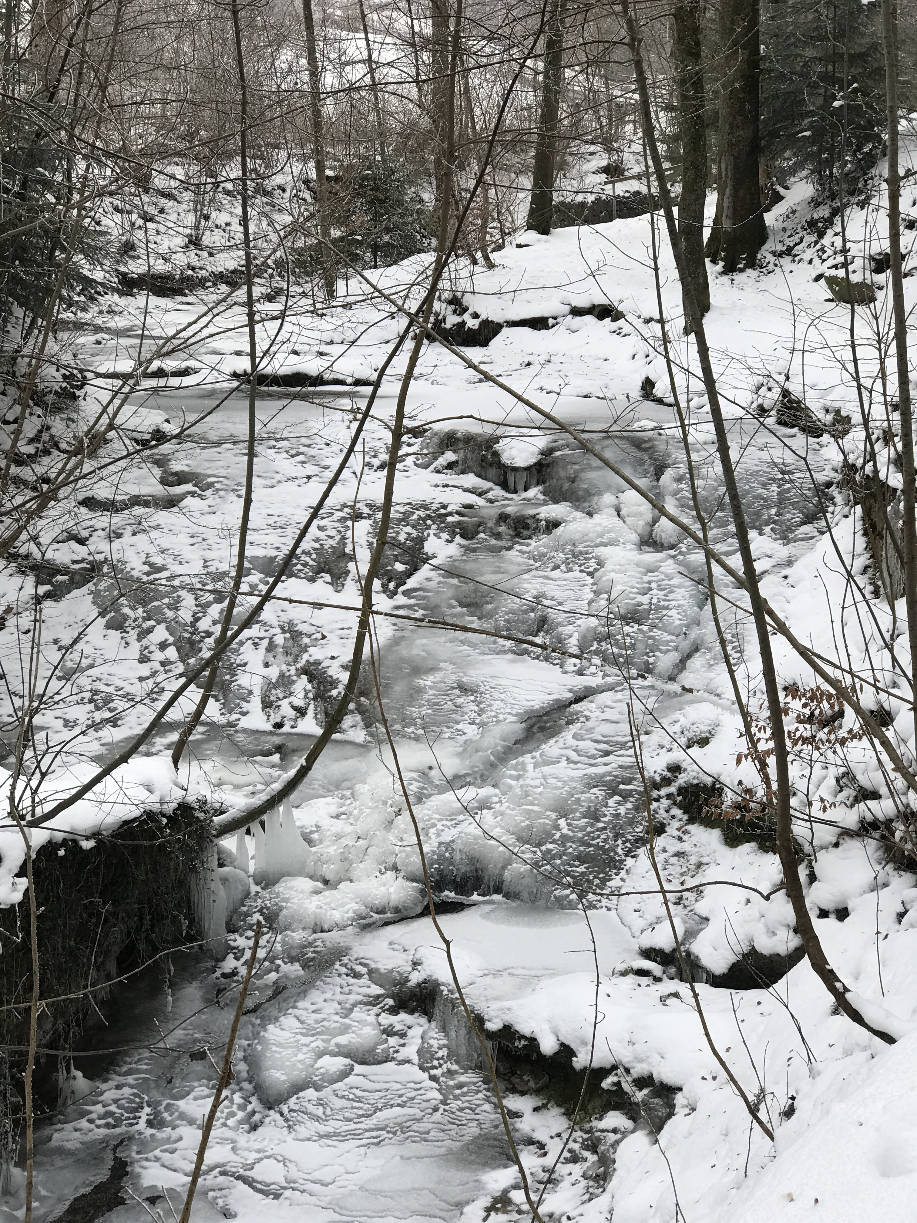frozen creek